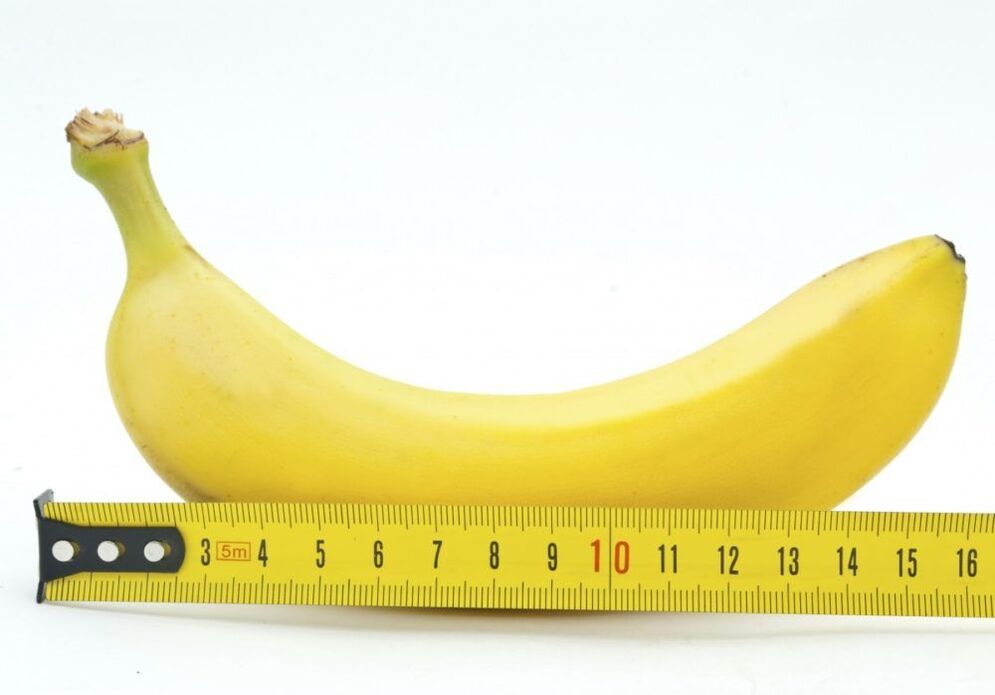 zakilaren tamaina neurtzea banana bat erabiliz adibide gisa